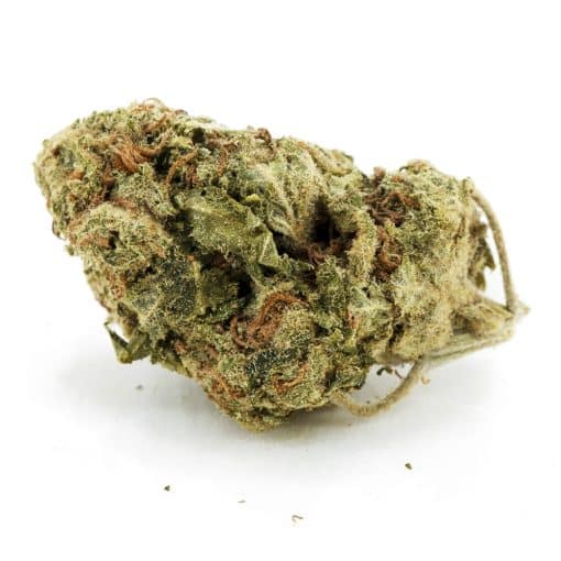 Supergirl A - Indica