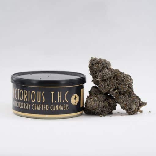 Notorious THC Craft - Black Cherry Soda
