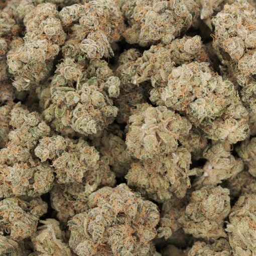 Wholesale - Gorilla Snacks - AAA