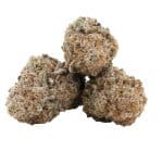 MAC1 AAAA - Hybrid