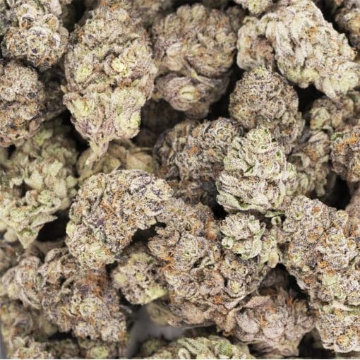 Rocket Pop AAAA - Indica