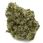 Blueberry Breath AA – Indica