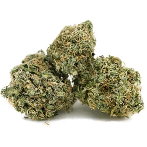 Blueberry Breath AA – Indica