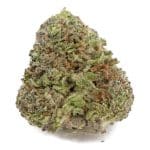Blueberry Gas AA – Indica