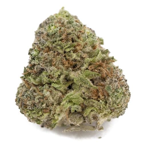 Blueberry Gas AA – Indica
