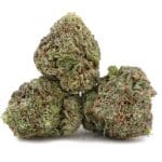 Blueberry Gas AA – Indica