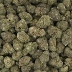 Blueberry Gas AA – Indica