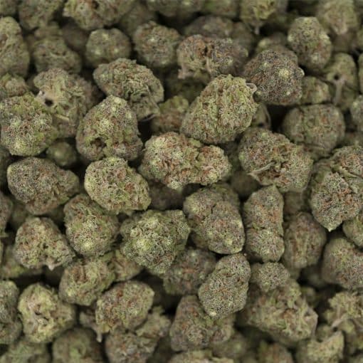 Blueberry Gas AA – Indica