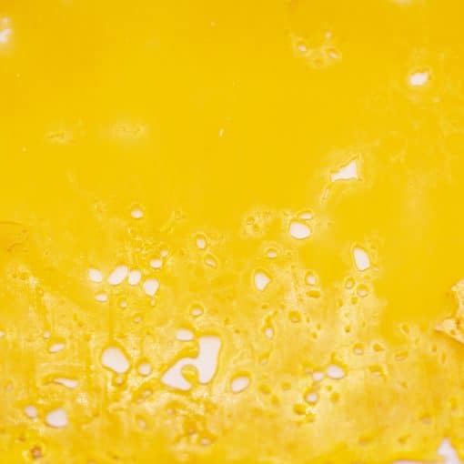 Shatter - Alexander The Grape - Indica