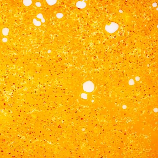 Shatter - Amethyst - Indica