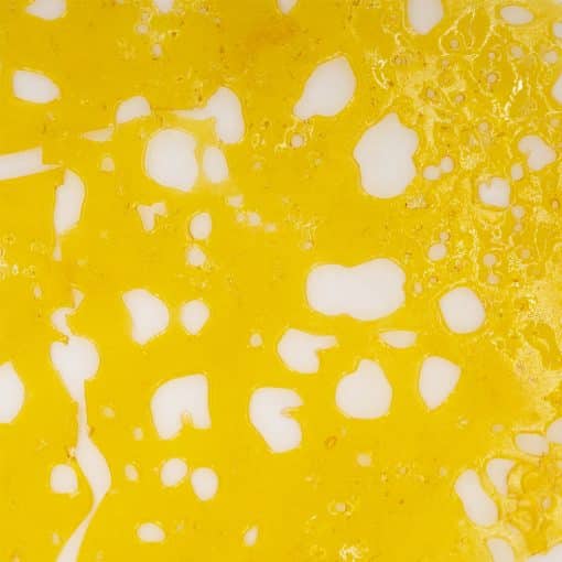 Shatter - Birthday Punch - Indica
