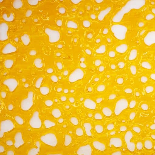 Shatter - Devine Runtz - Hybrid