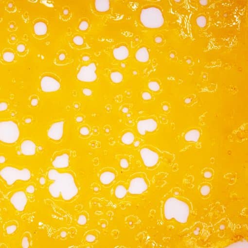 Shatter - Mango Limeade - Hybrid