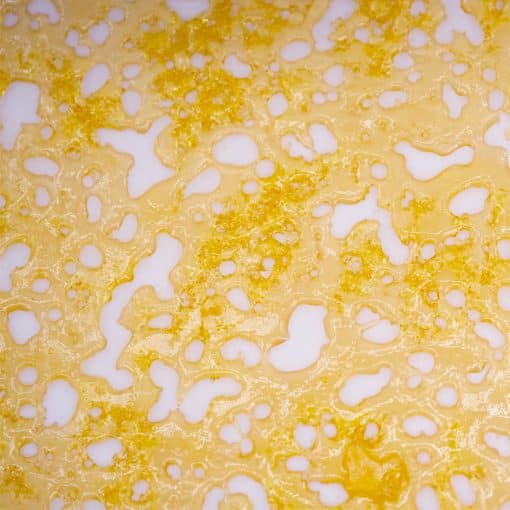 Shatter - Poison Fruit - Indica