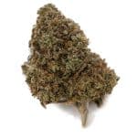Dirty Little Secret A - Sativa