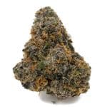 Dolato AAAA - Indica