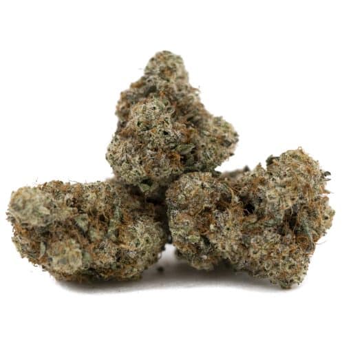 Gorilla Butter AAAA – Indica