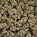 Gorilla Butter - AAAA