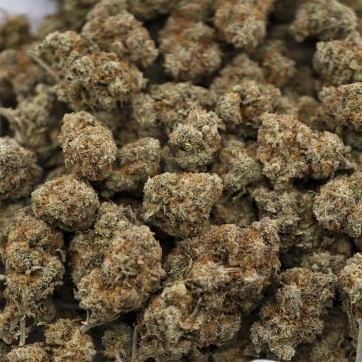 Grape Cake AA – Indica