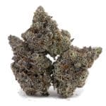 Greasy Runtz Craft – Indica