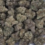 Greasy Runtz Craft – Indica