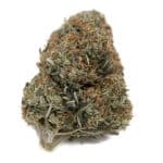Italian Ice AA - Indica