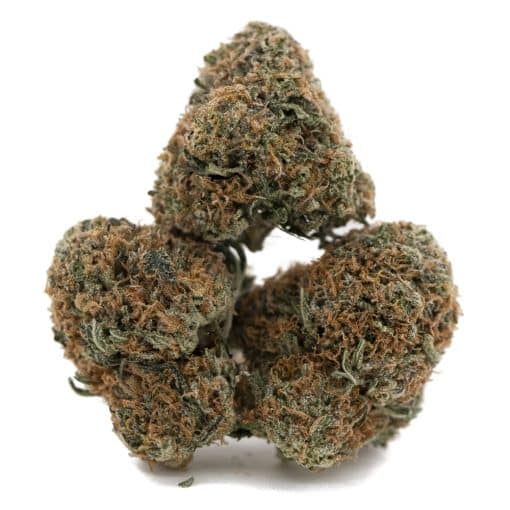 Italian Ice AA – Indica