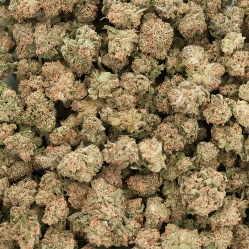 Platinum Godberry Craft Popcorn - Hybrid