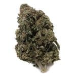 Rugburn OG AA - Indica