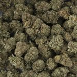 Wholesale - Rugburn OG - AA