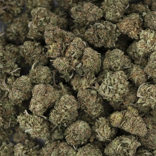 Wholesale - Rugburn OG - AA