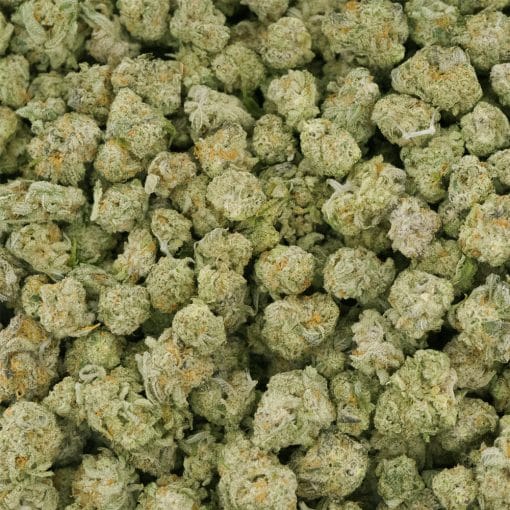 Sugar Cake Craft Popcorn - Indica