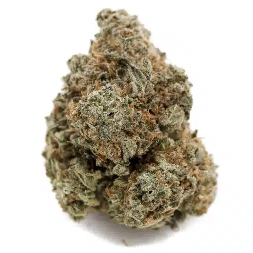 buy-weed-online-dispensary-west-coast-releaf-super-silver-cough-aaa-nug