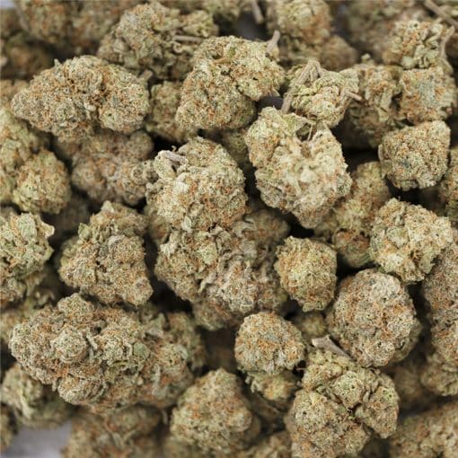 Super Silver Cough AAA – Sativa