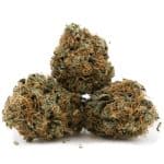 Tom Ford Bubba Kush AA – Indica