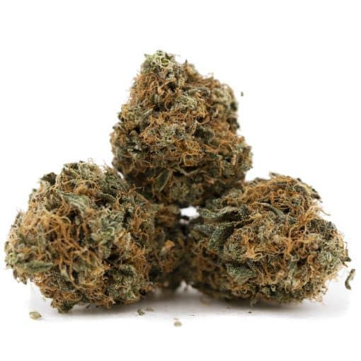 Tom Ford Bubba Kush AA – Indica