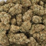 Tom Ford Bubba Kush AA – Indica