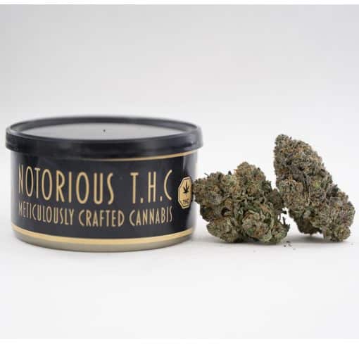 Notorious THC Craft - Blue Moonshine (7 Grams)
