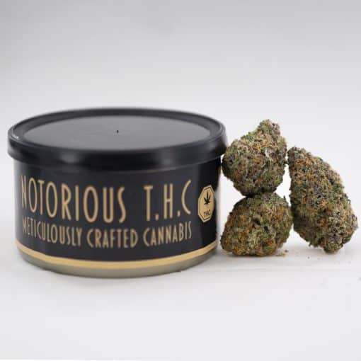 Notorious THC Craft - Durban Cheese (7 Grams)