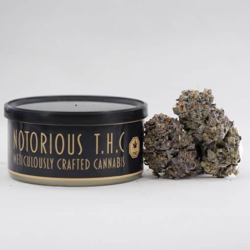 Notorious THC Craft - Gas Chamber Craft (7 Grams)