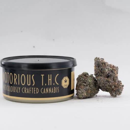 Notorious THC Craft - Granddaddy Purple (7 Grams)