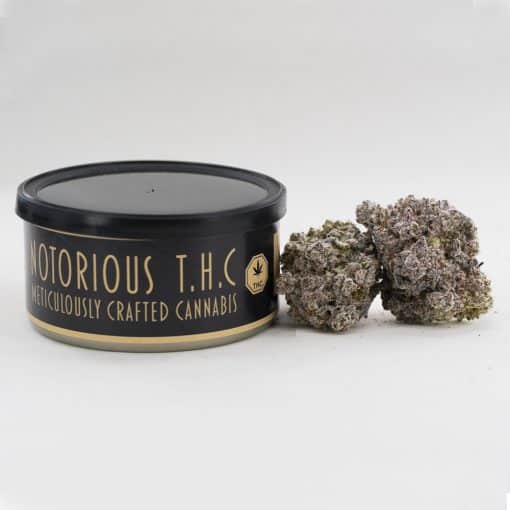 Notorious THC Craft - Nedband Light Caviar Craft (7 Grams)