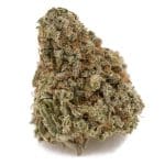Wedding Crasher A - Indica
