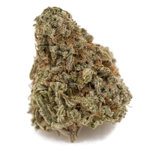Wedding Crasher A - Indica