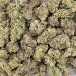 Wholesale - Banana OG - A