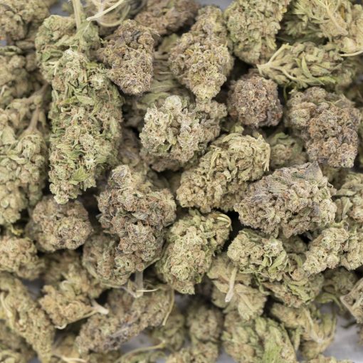 Wholesale - Banana OG - A