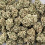 Wholesale - Blueberry - A