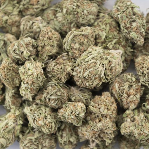 Wholesale - Blueberry - A