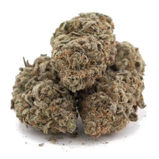 Wholesale - White Rhino - AA