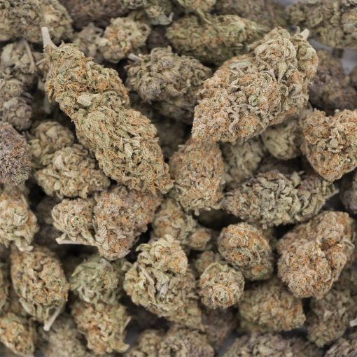 Wholesale - White Rhino - AA